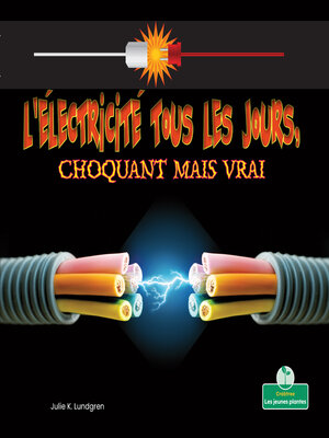 cover image of L'électricité tous les jours, choquant mais vrai (Everyday Electricity, Shocking But True)